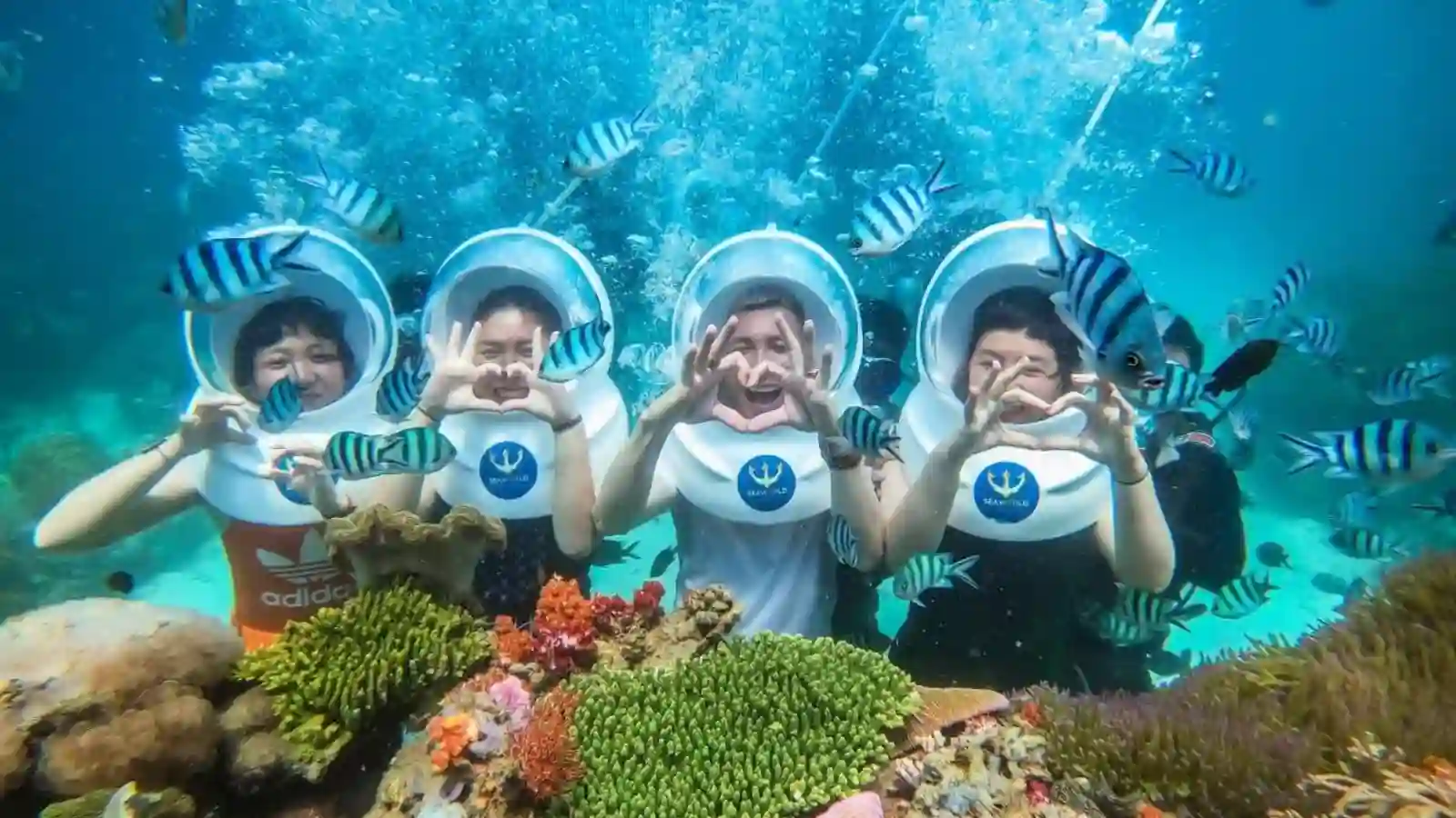 Tour 2 Đảo Hòn Mun – Làng Chài