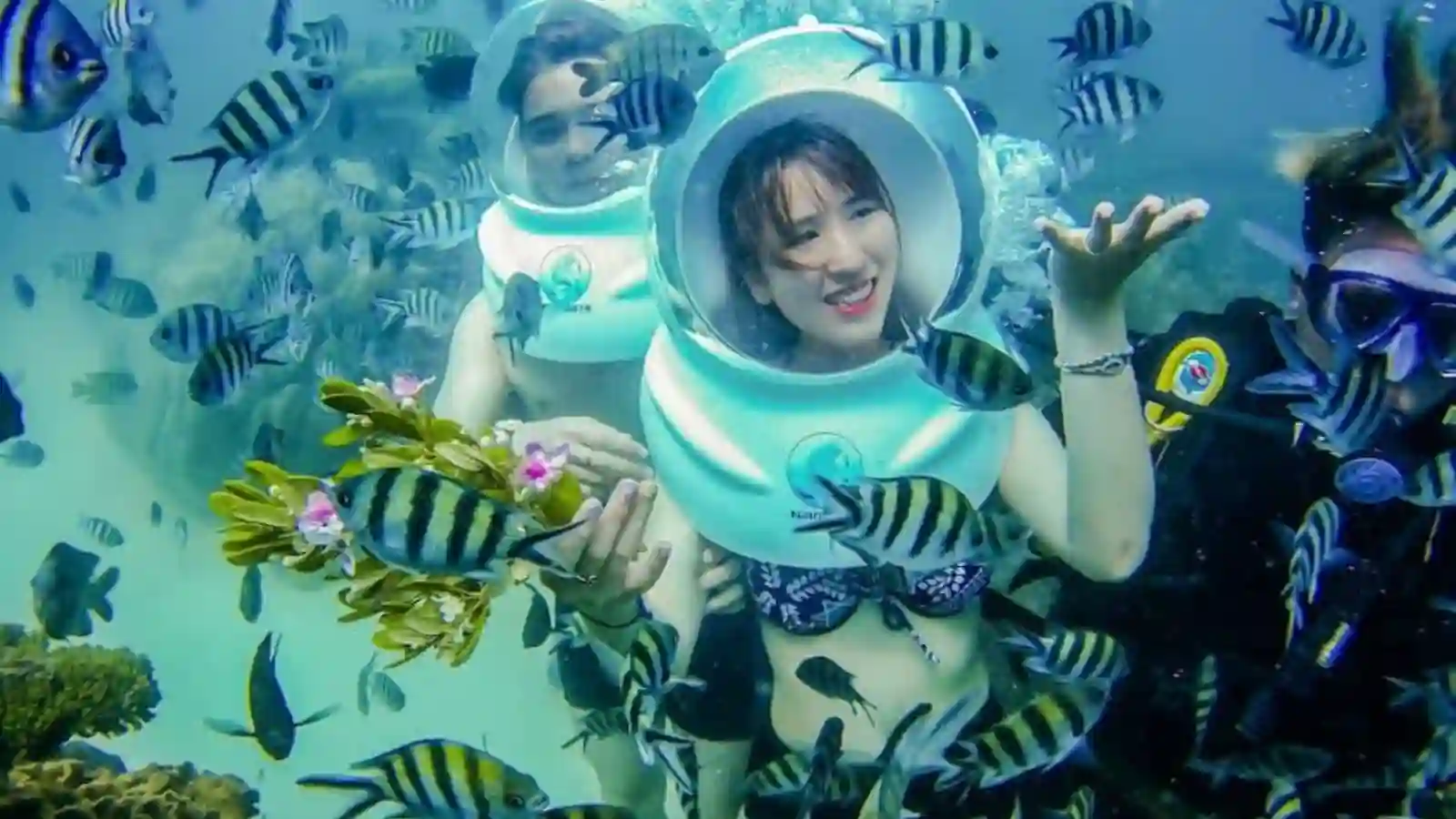 Tour đi bộ dưới đáy biển Nha Trang