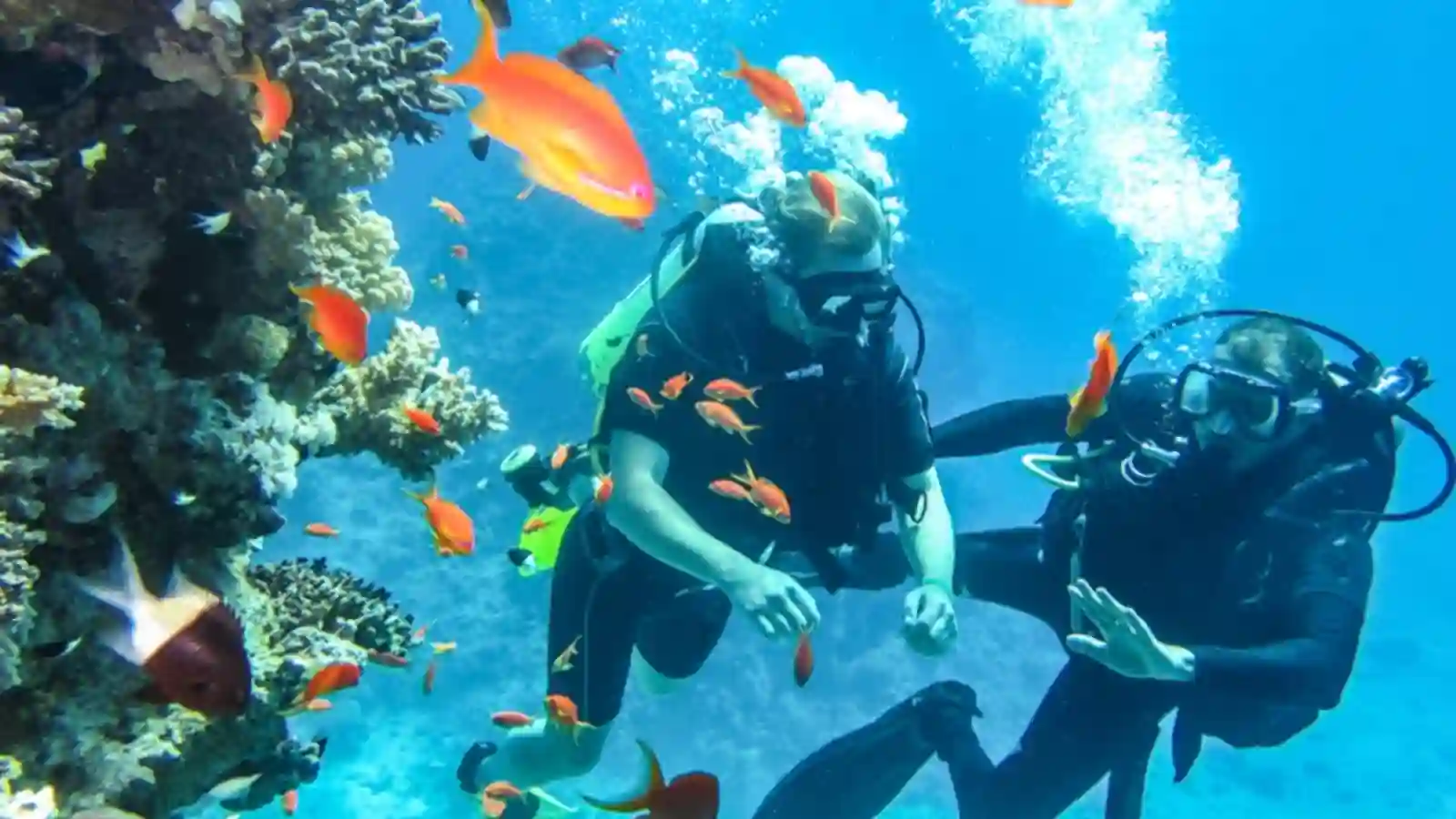 Tour lặn biển Nha Trang