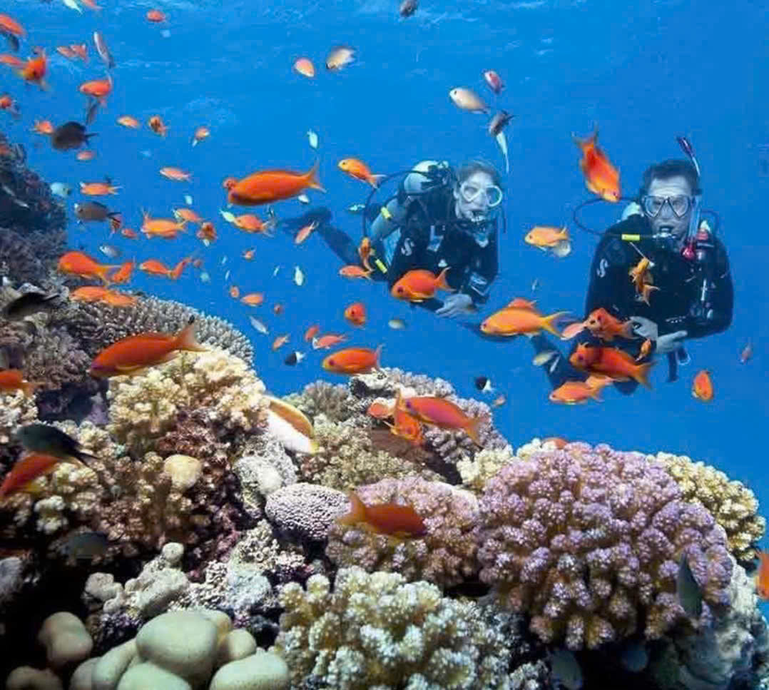 Hòn Mun + Làng Chài + Hòn Tằm Nha Trang