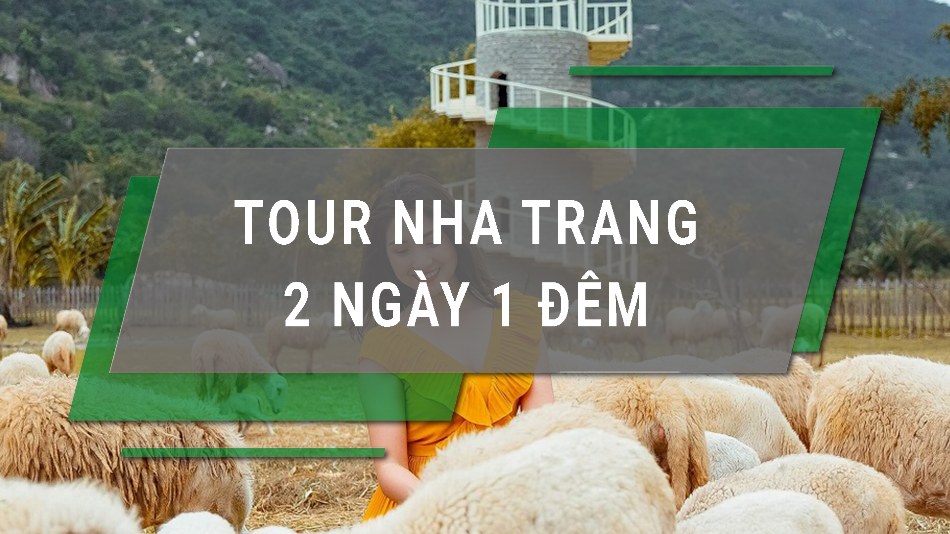 Tour Nha Trang 2 Ngày 1 Đêm