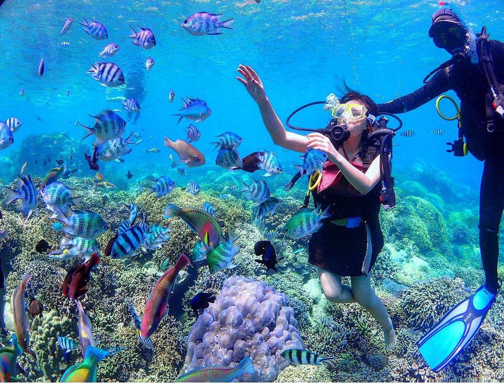 tour lặn biển ngắm san hô tại Hòn Mun